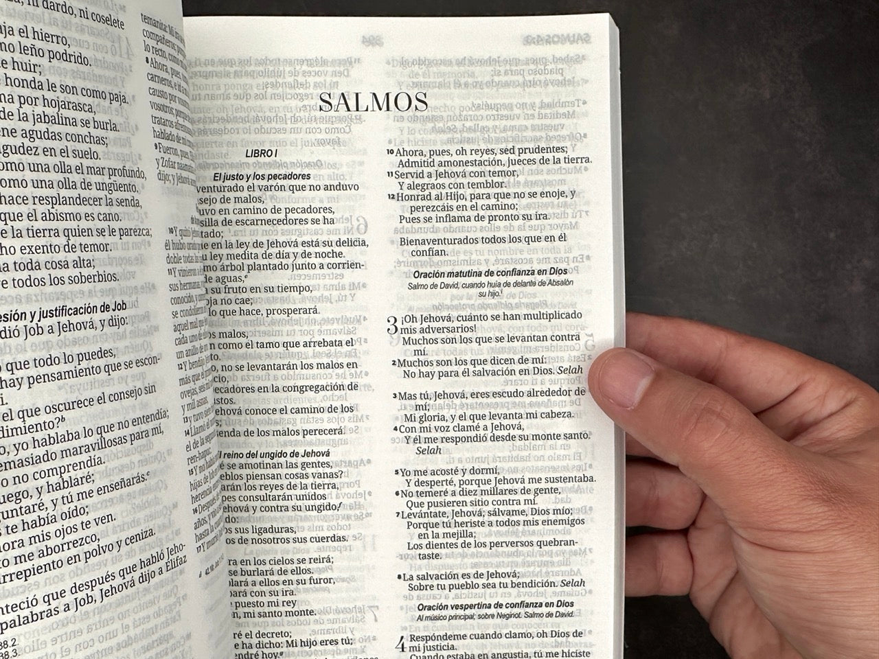 Biblia RVR 1960 económica